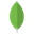 mongodb